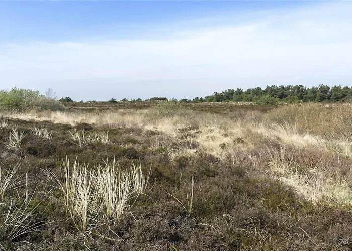 0049-romo-magevej-5 펜션 *