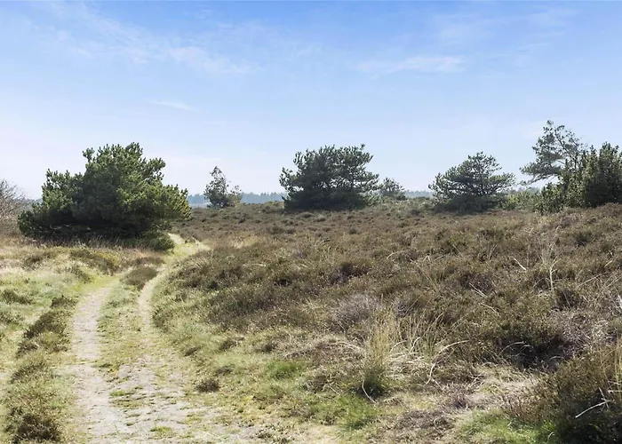 0049-romo-magevej-5 Lakolk